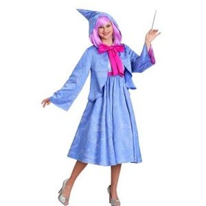 Disney Cinderella Fairy Godmother Costume Adult S